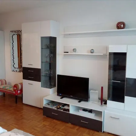Ferienwohnung Blumenegg 公寓